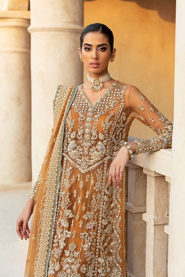 Soraya Un Stitched Collection 25 - Naira - Image 2
