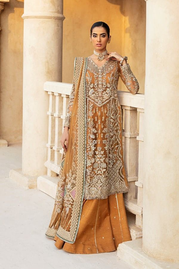 Soraya Un Stitched Collection 25 - Naira