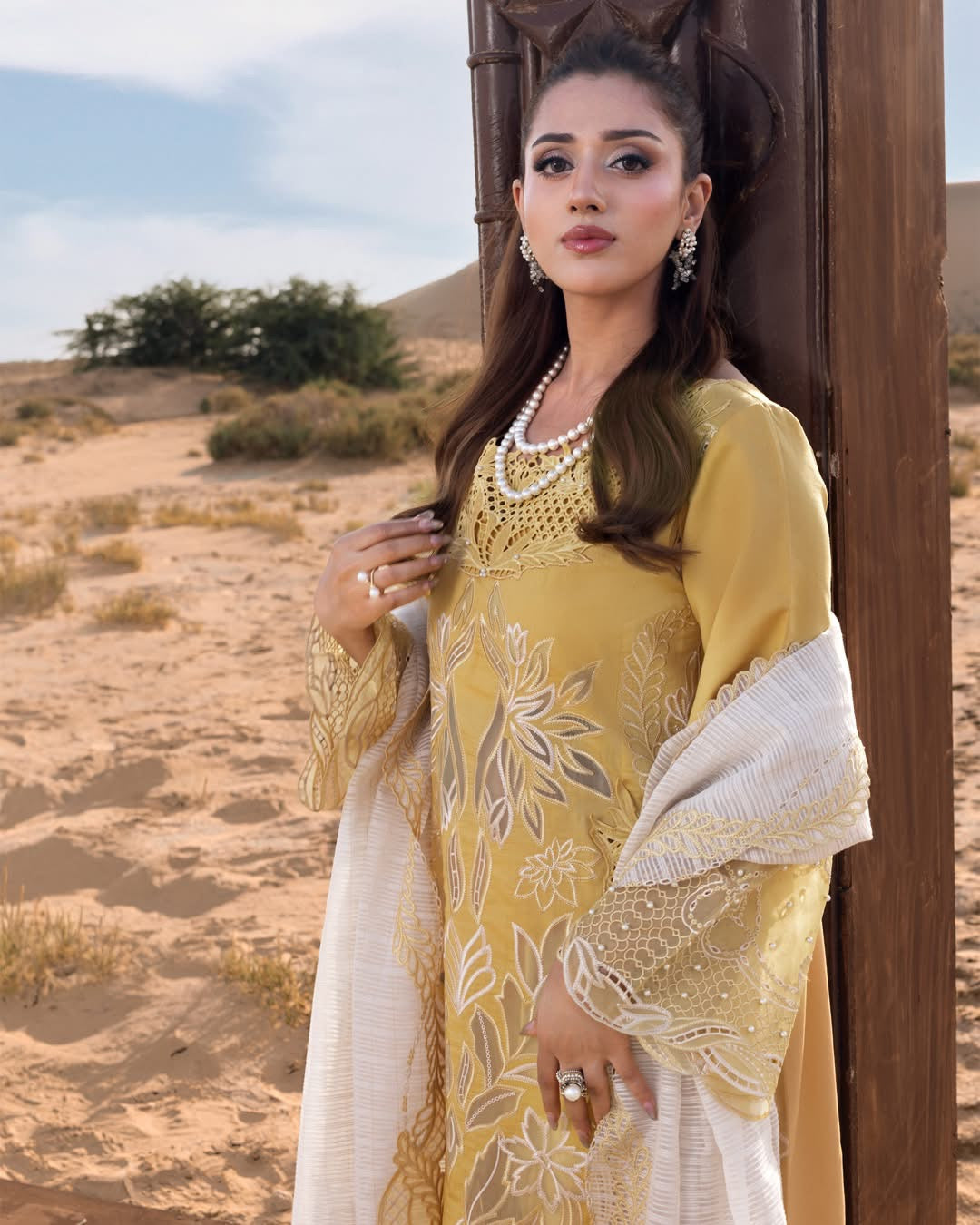 RANG RASIYA LAWN UN STITCHED COLLECTION 26 - HOORAIN - Image 7